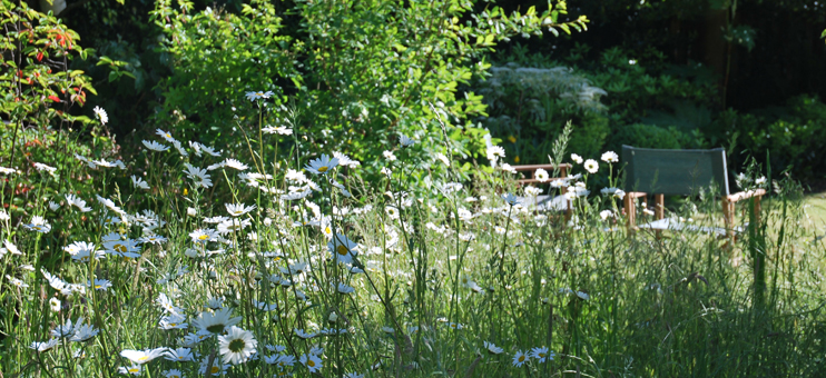 garden flowers